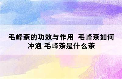 毛峰茶的功效与作用  毛峰茶如何冲泡 毛峰茶是什么茶